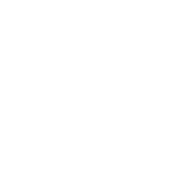 Pixirun